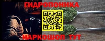 молекула духа Волжский