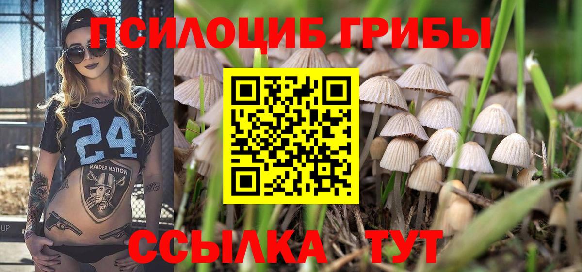 Галлюциногенные грибы GOLDEN TEACHER  Вход с VPN  наркотики  Соликамск 